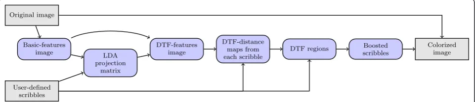 Figure 9 Examples of results obtained at selected steps of the colorization procedure