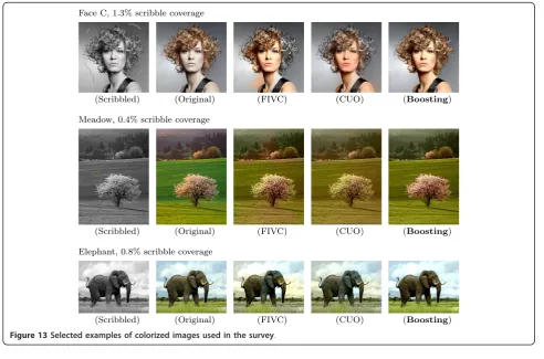Figure 13 Selected examples of colorized images used in the survey.