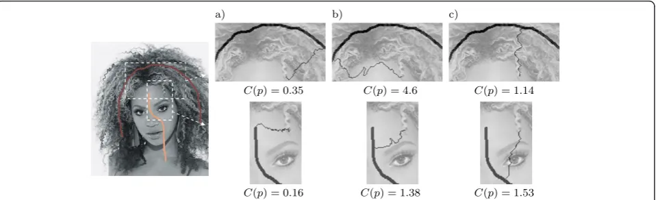 Figure 2 A single point reached by paths obtained with distance defined by Yatziv [3](a), plain distance (b), and gradient-stickydistance (c).