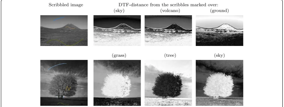Figure 5 Examples of DTF-distance maps obtained for scribbled images.