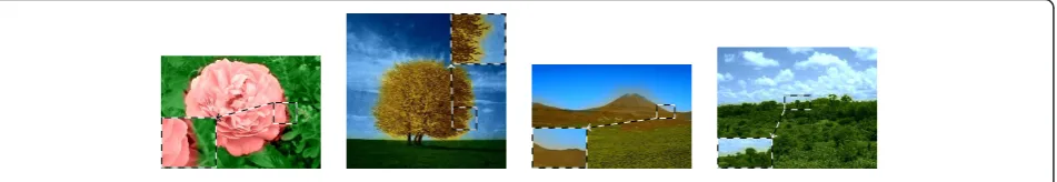 Figure 6 Scribbled images (a), propagation paths and colorized image obtained using our (b, c) and Yatziv’s approach (d, e).