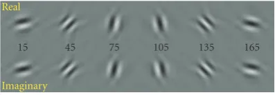 Figure 7: Impulse responses of original construction of Kingsbury’scomplex dual-tree wavelets.