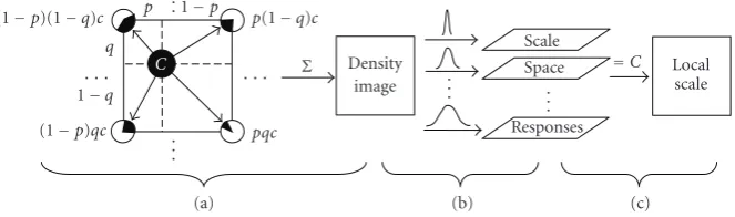 Figure 4: Fast estimation of local scale by a quadratic interpolation along the scale axis of a Gaussian scale-space of the HR density image.