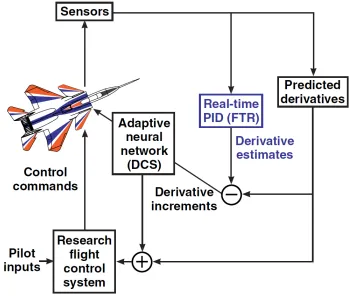 Figure 1.1: Schematic of the Real-Time PID Role for IFCS Research [1]