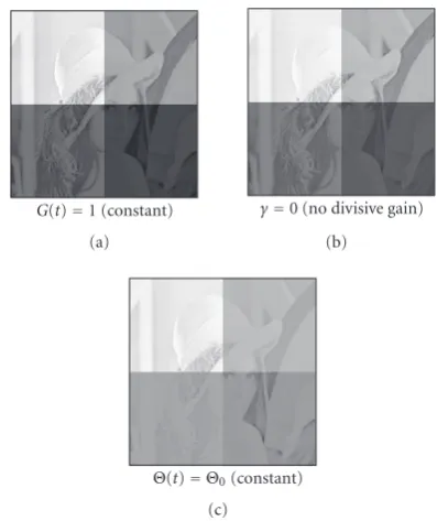 Figure 3: Artifacts: the results shown in this ﬁgure should be com-pared with Figure 7