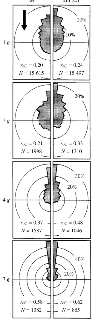Fig. 1. Comparison of polar histograms of orientation ofParamecium tetraurelianormal gravity (1pronounced than that of the wild type