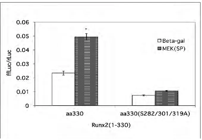 Fig. 9. Mutational analysis of Runx3 1-330 deletion. Mutations of three consensus MAPK phosphorylation sites (282, 301, 319) from Ser to Ala of Runx2 1-330 deletion transfected with 6OSE2-luc in COS7 cells reduced MEK(SP) stimulation of Runx2 1-330 deletio