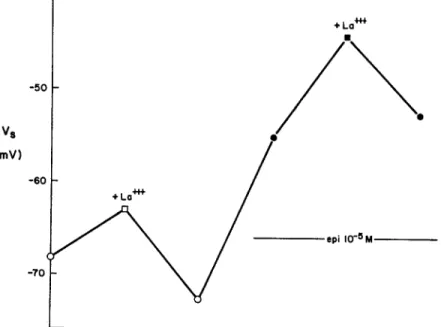 Fig.  6  shows  an  experiment  where  the  effect  of  La+++  was  determined  in the  absence,  and  then  in  the  presence  of  epinephrine