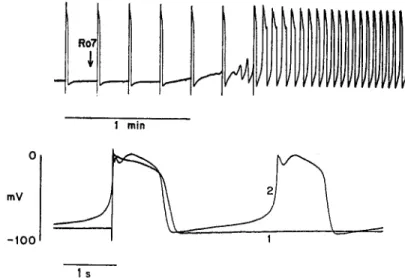 FIGURE  2.  Effect  of  R07-2956  on  electrical  activity.  Transmembrane  potential  is  re- re-corded  by  a chart recorder  on a slow  time base  (upper panel)  and on an  expanded  time base  (lower  panel)