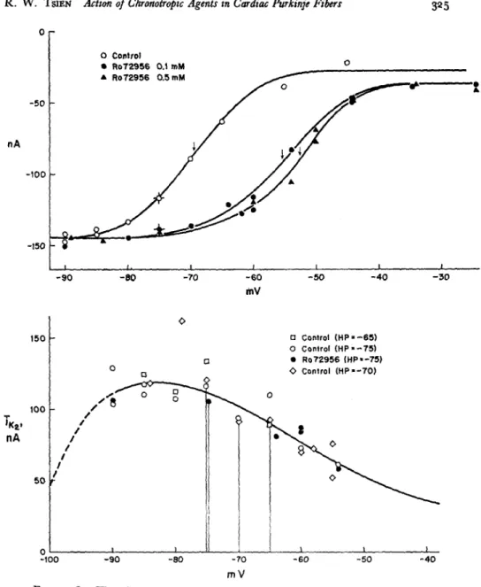 FIGURE  3.  The effect of R07-2956  on  the pacemaker  potassium current,  ik  The steady- steady-state  activation  curve  (top  panel)  is  shifted  toward  less  negative  potentials  by  the  drug (arrows  denote  midpoint  voltage,  V)