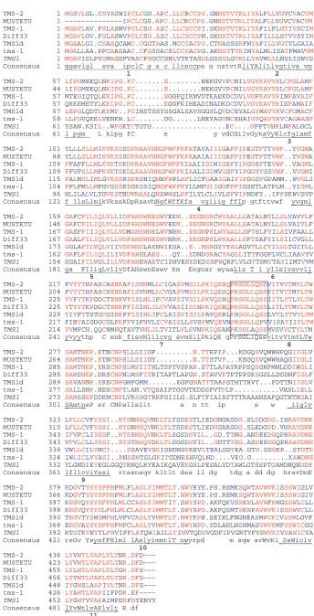 Fig. 1. Amino acid alignment of the TMSfamily members. The amino acid sequences(Z14718) and the TMS1d (present study) were aligned usingthe transmembrane domains are underlined andnumbered