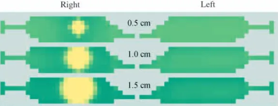Fig. 6. The transcutaneous voltage spatial proﬁlesgenerated by a unitary dipole at three different distances.The diagrams show, in a color scale map, thetranscutaneous voltage proﬁles normalized for peakamplitude generated by an elementary dipole 0.5, 1 an