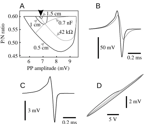 Fig. 10. Spatial distribution of the local electric organ discharge(LEOD) parameters on the left and right sides of the ﬁsh