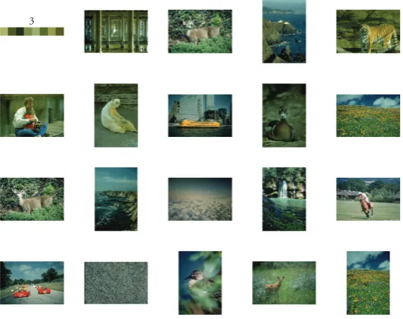 Figure 13: Most representative images for pattern 2.