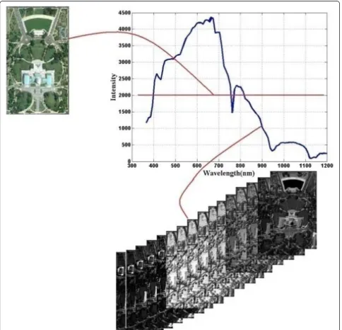 Figure 1 The principle of hyperspectral and panchromatic imaging