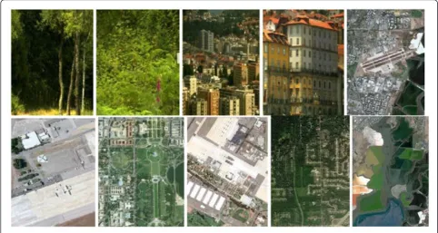 Figure 4 Sample from the images used for training the global dictionary