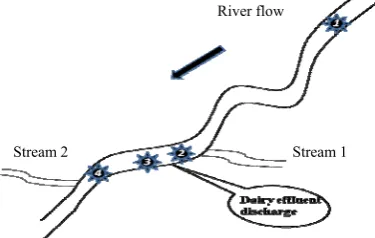 Fig 1 Sampling sites of surface waters upstream and downstream of the dairy effluent discharge 