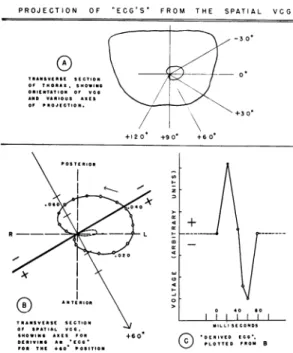 FIG. 1. Method of predicting the scalar electro- electro-cardiograms at points on the body surface from the vectorcardiogram