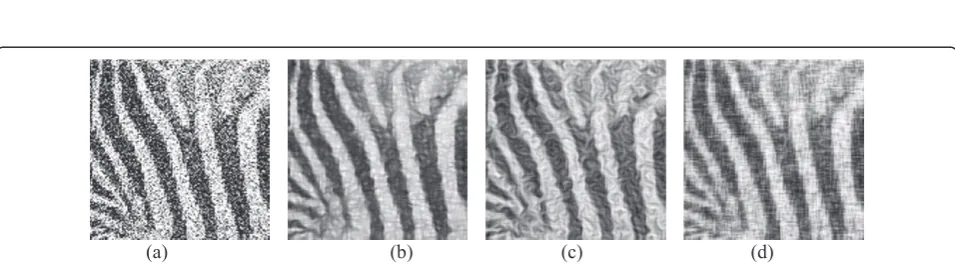Figure 2 Diffusion for tree texture. (a) Original tree texture, (b) complementary diffusion by our approach s = 0.1, r = 1.2, iteration time = 6,(c) coherence-enhancing method by Weickert s = 0.1, r = 1.2 iteration time = 6, and (d) diffusion by P-M equation s = 0.1, iteration time = 3.