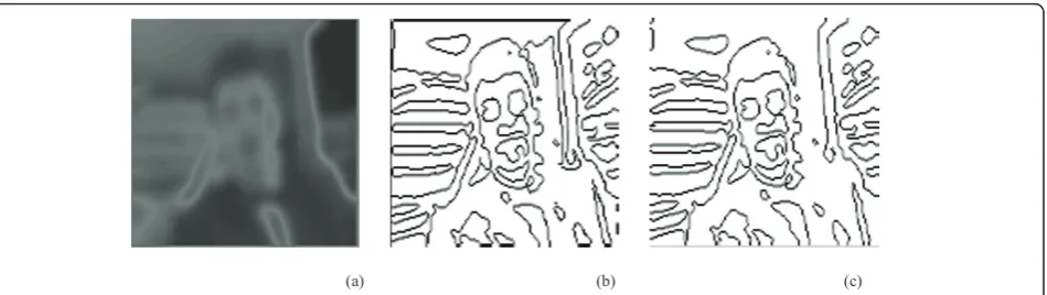 Figure 6 Final edge detection for Car-phone.(a) the matrix S(s); (b) edges selected by the gradient Ygradi; (c) final result Yﬁnal edgei.