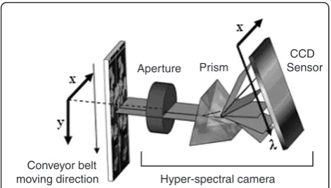 Figure 1 The principle of the hyper-spectral image acquisitionprocess.