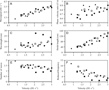 Fig. 6. Summary of kinematic data for Taeniura lymmaindividual 5.  as swimming velocity increases