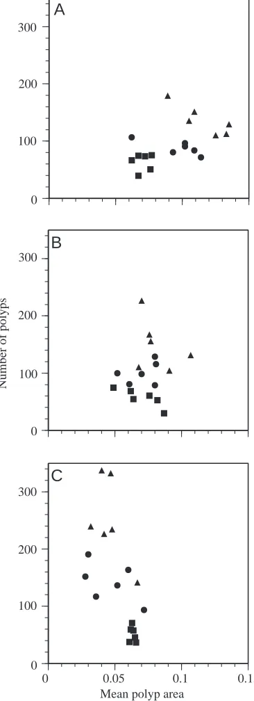 Fig. 3. Bivariate scatterplots of the amount of stolon development(inversely correlated to inner area/total colony area) and the amount12h per day; (B) control; (C) treated with 60development: at the time the surface was covered (squares), whenmedusa produ