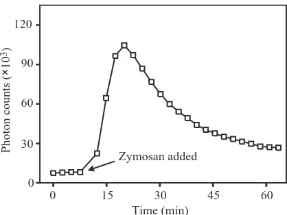 Fig. 1. The proﬁle of increasing photon counts (chemiluminescence)seen after stimulation with zymosan represents an increase inreactive oxygen intermediate production by hemocytes