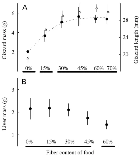 Fig. 2. (A) Response of gizzard mass and length to increasing non-digestible ﬁbre (NDF) content of diet