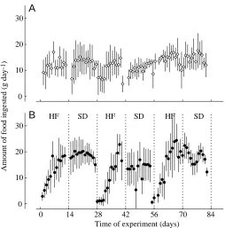 Fig. 3. Daily food intake of quail during an experimental period of12 weeks. Values are means ±(A) Quail feeding on the standard diet (control)