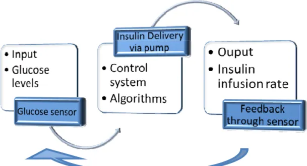 Figure 1. Principles of control systems applied to glycemic control. 