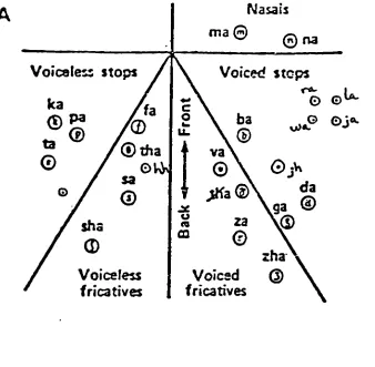 Figure 6b. Consonant Distances