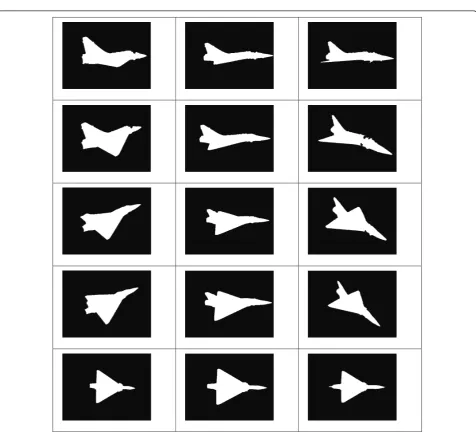 Figure 3 M-2000 Template Image.