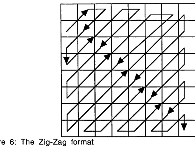 Figure 6: The Zig-Zag format