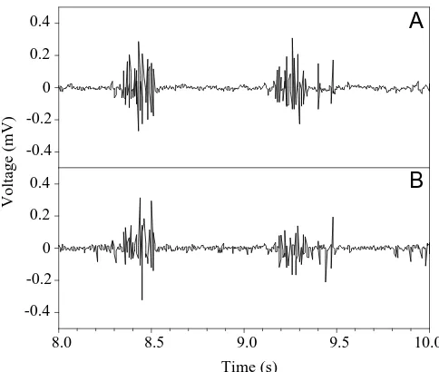 Fig. 3. The direct electrical (A) and the demodulated acoustic signal(B) over 2s from a spiny dogﬁsh Squalus acanthias held in a 4mdiameter, single-walled ﬁberglass tank