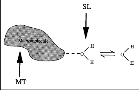 Fig 11. Simplified model of the effects of tissue macromole-