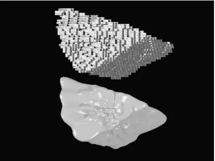 Fig. 1.2   Aggregate shape in voxel representation (top) and spherical harmonic expansion reconstruction (below)
