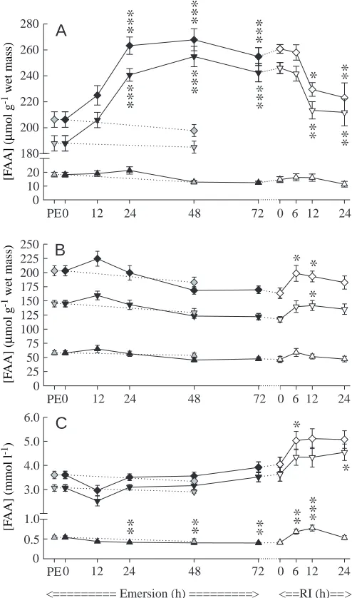 Fig. 1. Changes in amino acid content of muscle (A), hepatopancreas(B) and haemolymph (C) of Carcinus maenas during a 72 h air-exposure and subsequent recovery