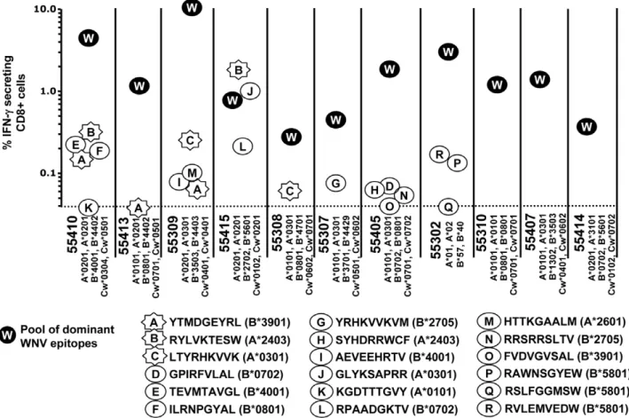 Figure 1. Immunogenicity of the predicted epitopes. One-hundred-and-twelve predicted epitopes were screened for reactivity by IFN-gamma ELISPOT using samples from 11 patients