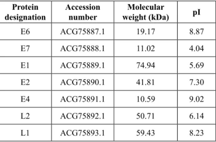 Table 1: Physicochemical properties of different  putative proteins of hPv type 16.