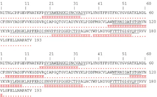 Figure 3. BCPREDS server predictions of epitopes within the RBD of SARS-CoV S protein, made using BCPred (top) and AAP (bottom)