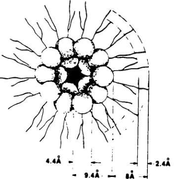 FIGURE 1.2:REVERSEDMICELLE (in hydrocarbon fluid),
