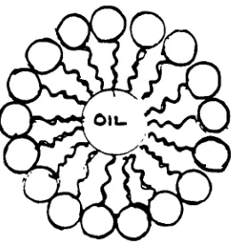 FIGURE 1.3:SWOLLEN MICELLE, actuallya3-D