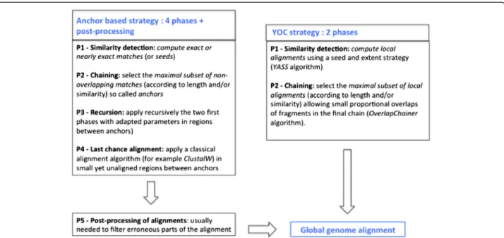 Figure 1 Schematic description of two whole genome alignment strategies: the classical anchor strategy and the YOC strategy