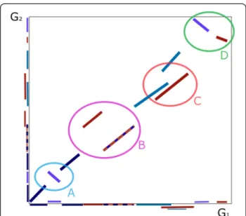 Figure 2 A segment extracted from a MAUVE alignment of two P. marinus strains, with the start and end positions in the two sequences