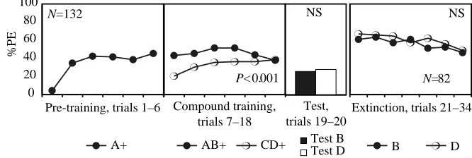 Fig. 1. Performance of honeybees in experiment 1: a blockingexperiment using a between-animal design