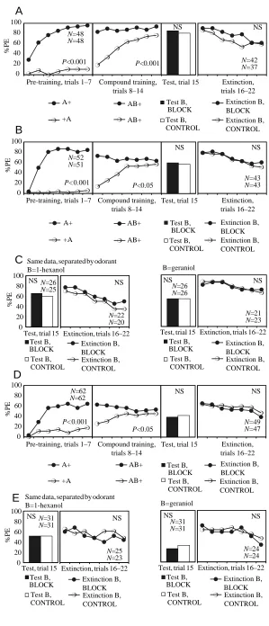 Fig. 4. (A) Performance of honeybees in experiment 4: ablocking experiment using a between-animal design.Blocking is indicated by signiﬁcantly lower responselevels to B in the BLOCK group (ﬁlled symbols andcolumns) than in the CONTROL group (open symbolsan