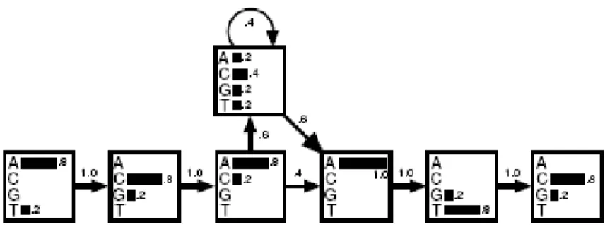 Figure 1: A hidden Markov model derived from the alignment discussed  in the text above