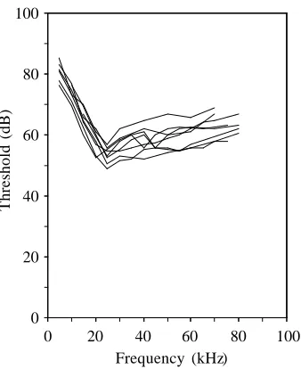 Fig. 4. Changes in the auditory afferentresponse in stimulus intensities. (A) Intensity/responsecurve showing the change in the mean spikenumber with stimulus intensity