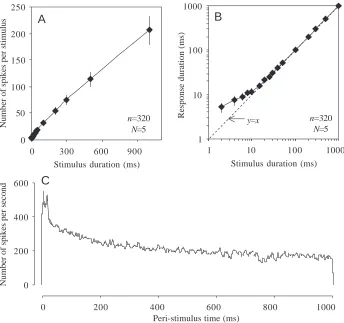 Fig. 5. Changes in the auditory afferentresponse in responses analysed and ‘number of animals studied